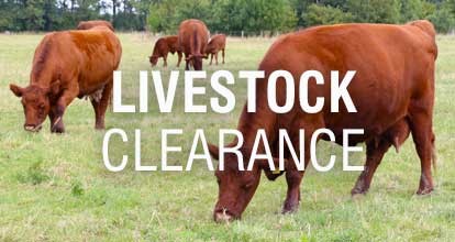 LivestockClearance